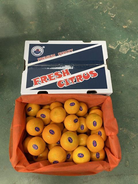 Fresh Wogan Mandarin Oranges Sweet, Juicy, High-Quality Citrus Fruits - Image 5
