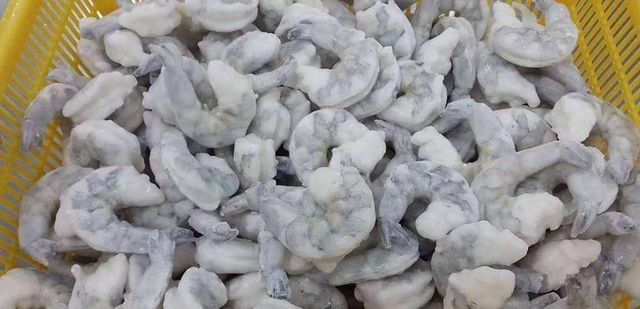 Frozen Prawns Tail Ocean Derived Seafood Selection Delivering Premium Fresh Appeal For International Supply Demand - Image 4