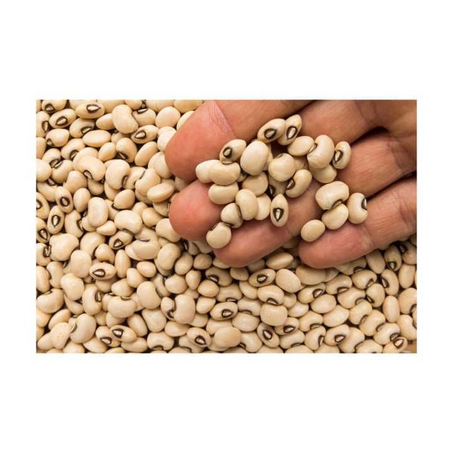 Bulk Wholesale Black Eyed Peas Beans for Global Supply – Premium Export Quality Cowpeas with High Nutritional Value, Clean Processing, Custom Packaging, Private Label Options, and Fast International Delivery for Retailers and Food Industries - Image 3
