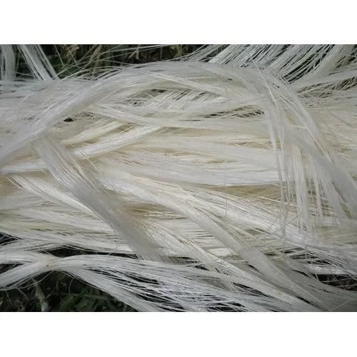 Eco-Friendly Sisal Fibre Natural Color Grade 90-120cm Length Low Price Raw Pattern for Industrial Use Concrete For Sale - Image 2