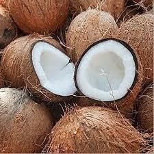 Find similar icon Cheap Price Fresh Mature Semi Husked Coconut From Thailand - Image 2