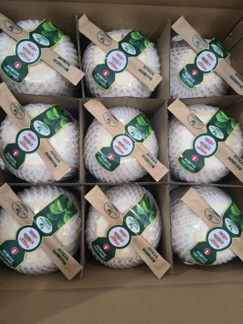 Easy diamond coconut + bamboo straw Grade Class A Origin Vietnam Storage Temperature +2c Type XIem variety coconut Net Weight Per Carton 8kg - Image 2