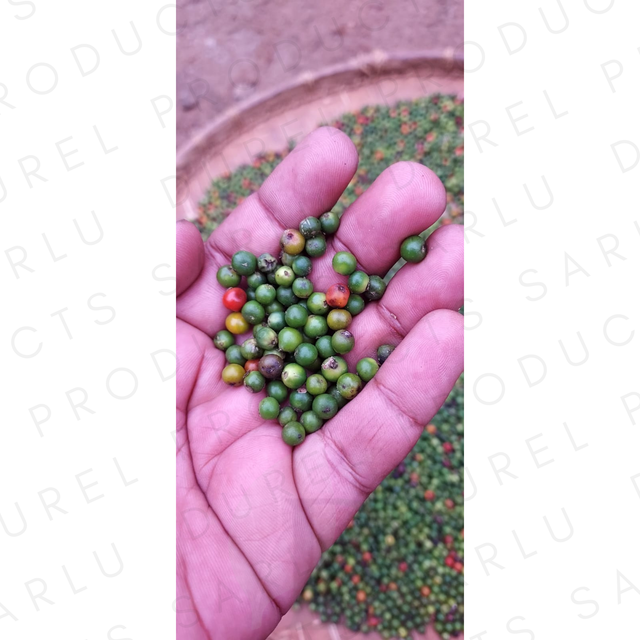Whole Black Pepper Single Origin Madagascar Peppercorn - Image 3