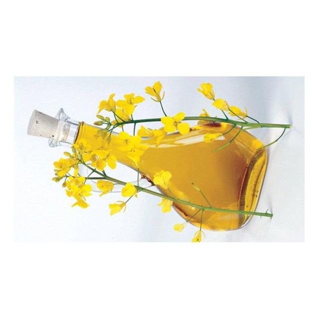 Discount price canola oil available for large scale resale and trade demand - Image 4