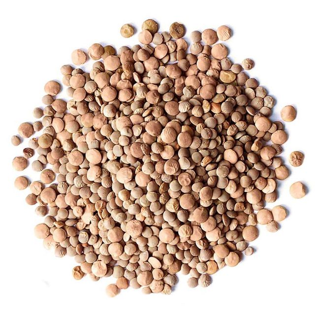 Premium Natural Brown Lentils For Global Bulk Buyers Clean Brown Lentils Rich Protein Source For Food Processing Trade Supply - Image 3