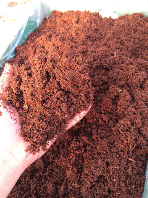 Best Sale! Coco Peat Block Eco-Friendly Natural Brown 5.5% PH - Image 2