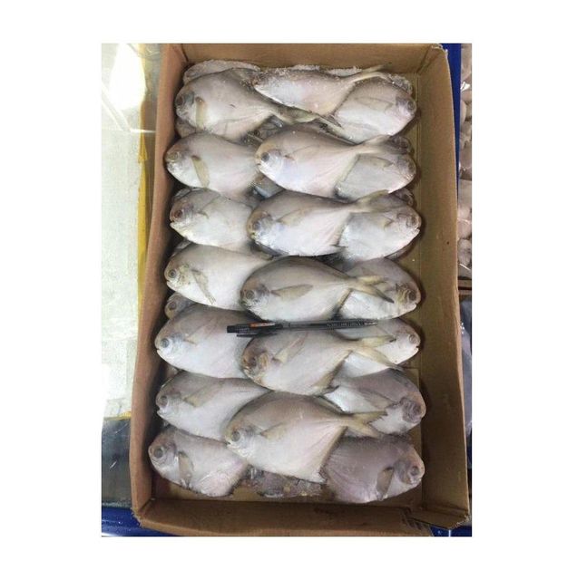 Good quality cheap price Frozen white Pomfret fish Cut Other Degree of Processing Other Freshness Level Fresh, Frozen Features No Artificial Flavors, No Preservatives, Organic - Image 3