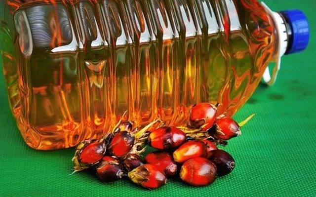 Refined Edible Palm Oil for Large Volume Food Manufacturing and Commercial Kitchen Processing - Image 5
