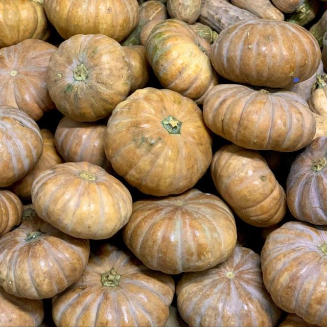 Export Grade Fresh Pumpkin with Firm Texture for Commercial Food Industry Processing and Trade - Image 3
