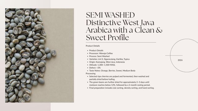 ndonesian Specialty Arabica Green Coffee Beans – West Java Full Washed - Image 3