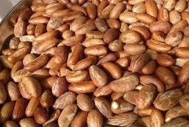 Affordable bitter kola for export and large quantity buyers Grade A Form Solid Style Fresh Shape Round Packaging bulk Content - Image 3