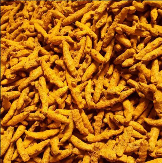 Premium Export Grade Turmeric Powder Form Ground Aroma Strong Color Vibrant Purity Premium Features Vegetarian Curcumin Content High - Image 2