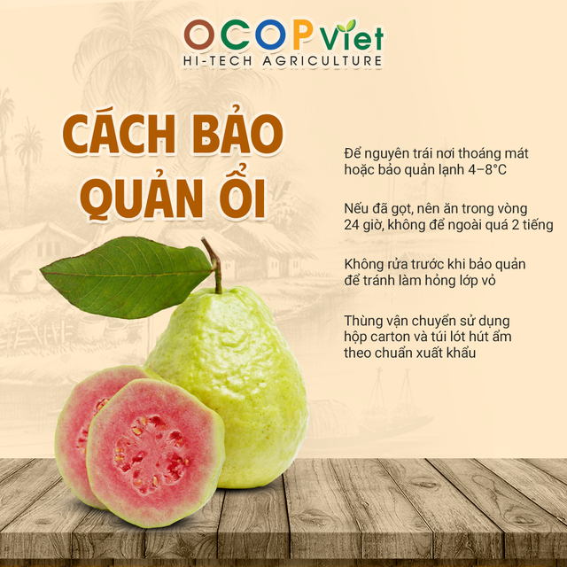Ổi Ruột Đỏ Ruby - Ruby Red Flesh Guava – product photo 2, product detail gallery