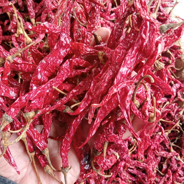 Factory Supply Raw Dried Red Chili - Image 3