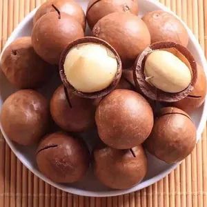 New Crop Yunnan Raw Macadamia Nut in Shell - Image 6
