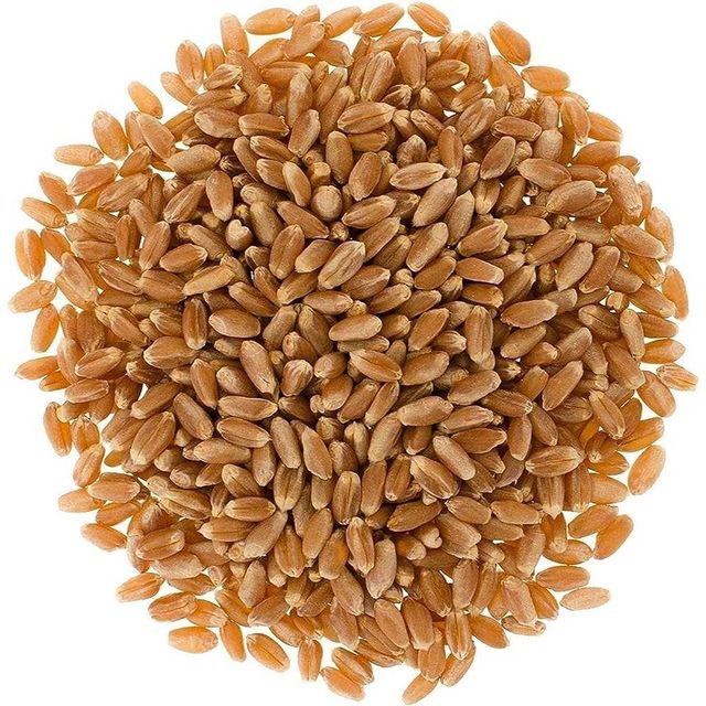 Bulk Supply Of Fresh Durum Wheat With High Purity And Excellent Quality Premium And Natural Wheat For Export - Image 3