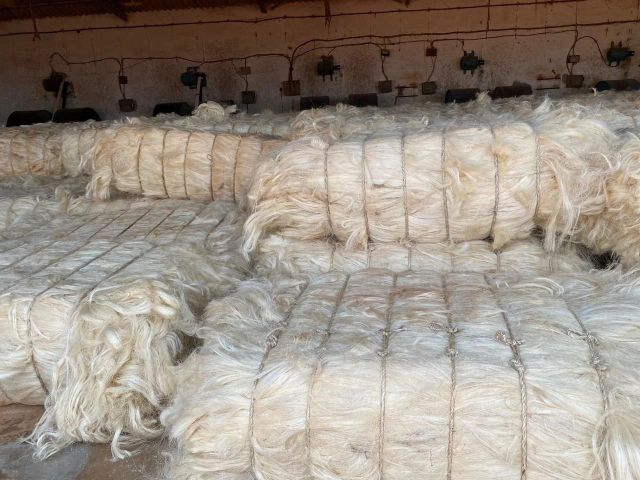 Natural Raw Sisal Fiber (Sisal Fibre) Flame Retardant for Concrete & Spinning Use UG Grade - Image 3