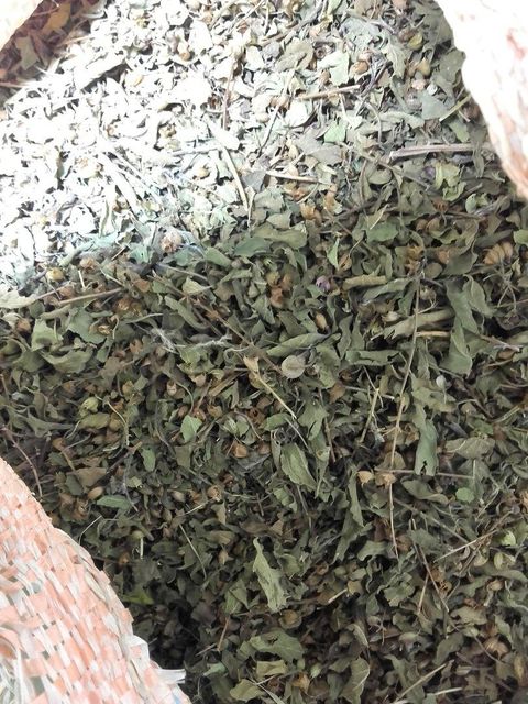 Dried Krishna Tulsi Leaf Grade FOOD Color GREEN Packaging HDPE Digestion Aid Yes Max. Moisture (%) 8% Shelf Life 24 MONTHS - Image 1