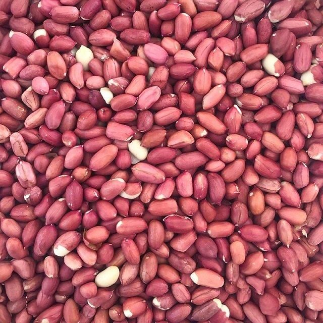 Whole Sale 100% Organic Peanut ,Dried Peanuts Groundnut Raw/Fresh Red Skin Arachid on Discount - Image 4