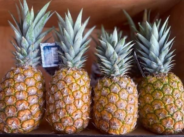SWEET PINEAPPLES - Image 2
