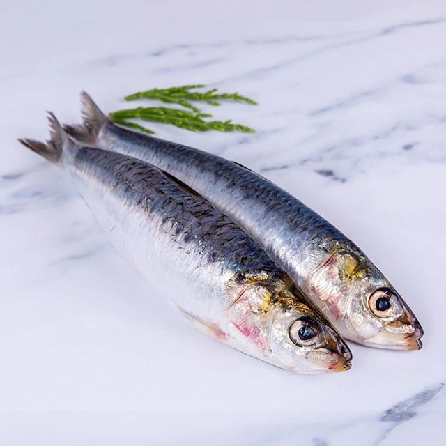 Frozen Sardine Fish Premium Whole Round Selection For Bulk Food Supply With Natural Freshness And Reliable Quality - Image 4