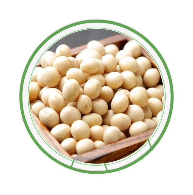High Quality Organic Soybean / Dried Soya Beans Available For Sale At Low Price - Image 2