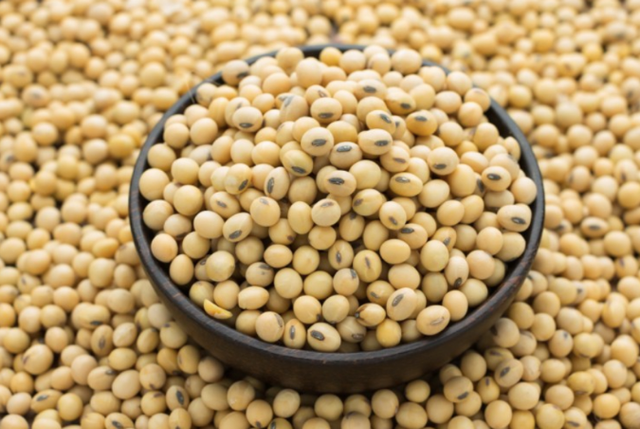 Organic Soybean - Image 3