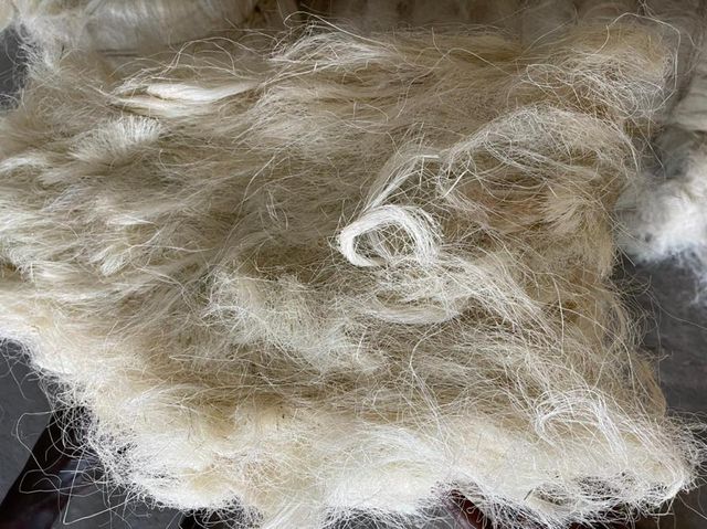 Sisal Fibre Supplier for UG Sisal Fiber for Sale at wholesale prices and in bulk quantities Whatsap +255787979235 - Image 5