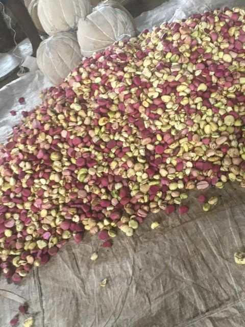 Kola Nut - Image 1