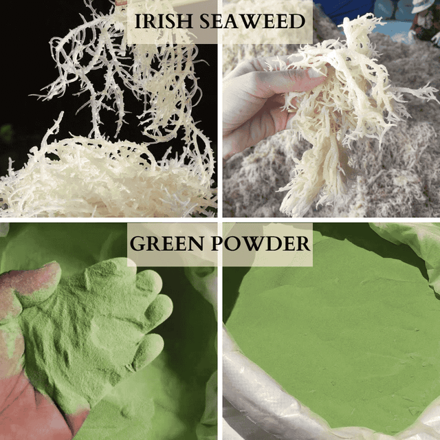 Premium-Grade Dried Seaweed from Vietnam - Nutritious & Versatile Grade-Export - Image 4