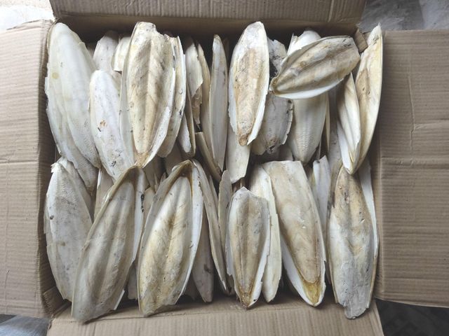 Natural Dried Cuttlefish Bone Are Exported at Good Prices Fresh Seafood Products Nutritious Sugar-Free - Image 3