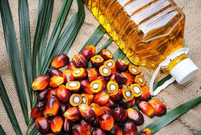 Refined Edible Palm Oil for Large Volume Food Manufacturing and Commercial Kitchen Processing - Image 2