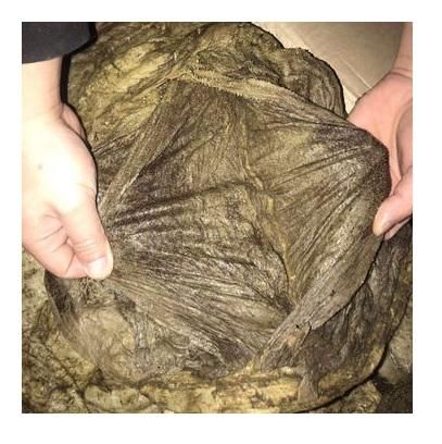 Wholesale Dry Salted Omasum and Frozen Salted Beef Omasum - Image 4
