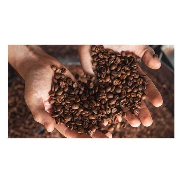 High quality roasted coffee beans for espresso cappuccino and latte preparation Fresh coffee beans sourced from top coffee growing regions worldwide Arabica coffee beans with mild taste and low acidity profile Robusta coffee beans with strong flavor and high caffeine content - Image 4