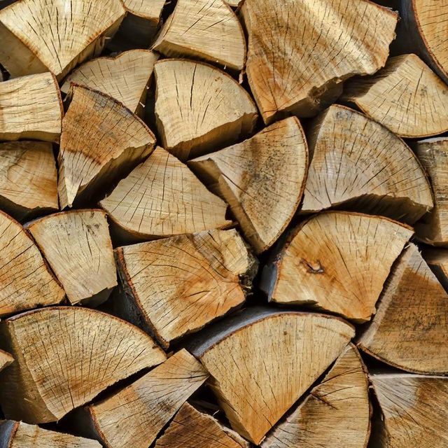 Selected Hardwood Firewood For Long Burning Duration And Strong Heat Distribution Performance - Image 3
