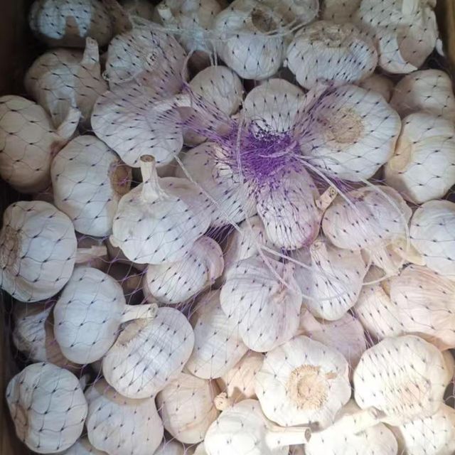 Normal White and Pure White Garlic from Yantai Keyrise China - Image 4