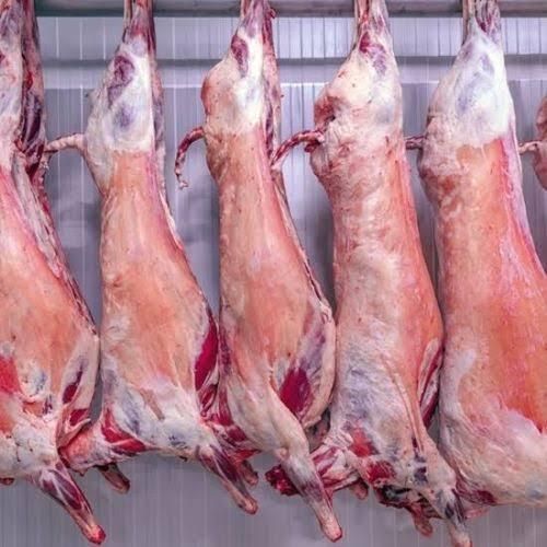Mutton meat carcass Age Range 12 To 20 - Image 1