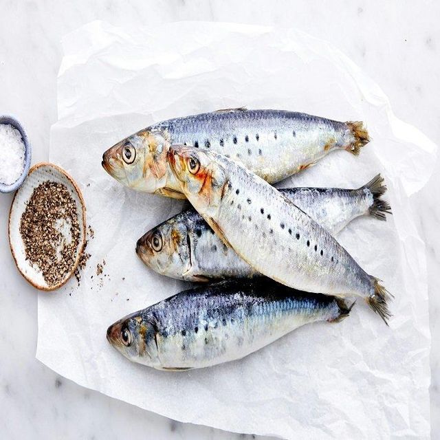 Fresh Frozen Whole Sardine Fish Supplier Offering Clean Processed Seafood With Excellent Taste - Image 3