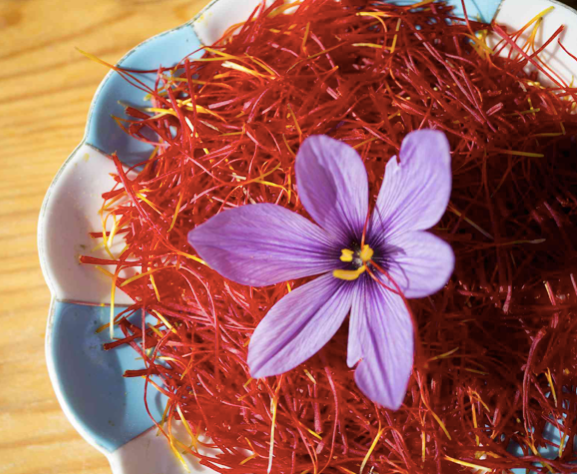 Organic Indian Saffron - Image 5