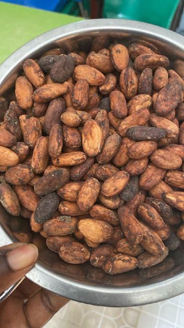 Wholesale Supplier Premium Quality Cocoa Beans - Image 2