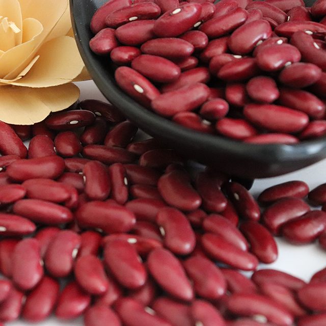 Red Beans 180-220 Big Size Kidney Beans Dark Red Kidney Beans Market Price - Image 5