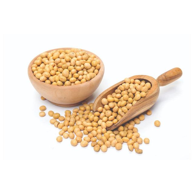 Premium Brazilian Soybeans frozenchickenexports.com - Image 5
