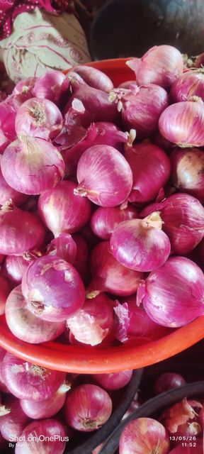Red Onions - Image 2