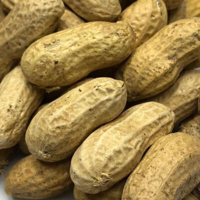 Premium Quality Bulk Peanuts Sale Fresh and Natural Peanuts Healthy Snack Rich in Protein for Wholesale Buyers - Image 5