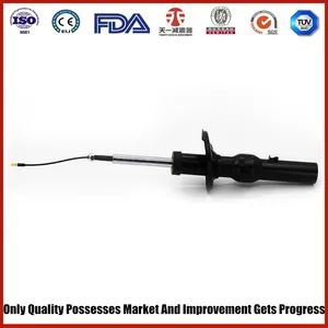 Air Suspension for Porsche 981 Rear - Image 1