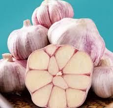Fresh Garlics – product photo 2, product detail gallery