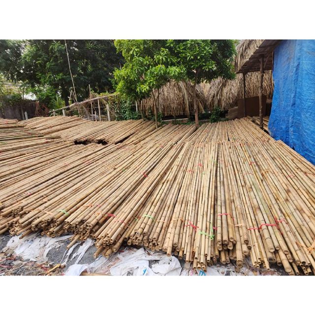 Vietnamese Bamboo Poles Wholesale Price - Raw Bamboo Poles For Gardening And Decoration - Bamboo Pole 100% Natural - Image 3