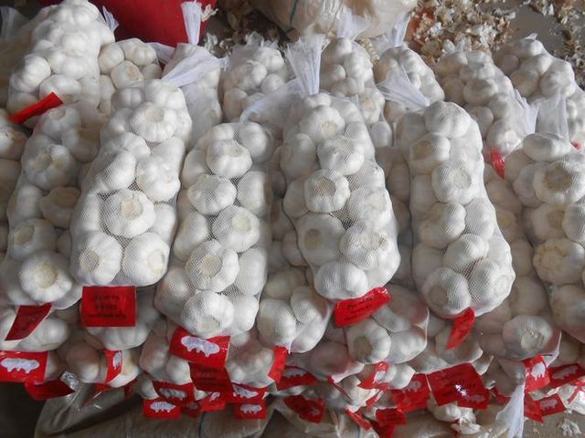 Pure Garlic 4.5+ - Image 1