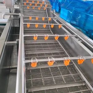 Industrial Vegetable and Fruits Pretreatment Processing Machine Bubble Cleaning Equipment - Image 4