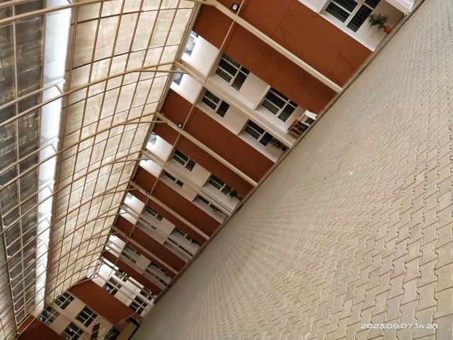 Commercial Building Painting Work Finish All Paint Type All Property Type All Service Area Both Working Shift 24x7 Service Includes - Image 2